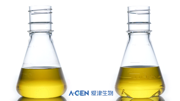 实验室耗材_细胞培养瓶_平底和带挡板底两种类型_爱津生物