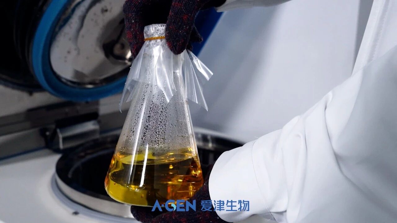 实验室耗材_细菌培养瓶_一瓶多用功能强大_爱津生物