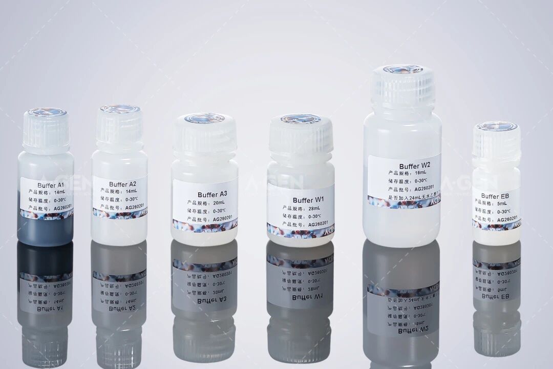 质粒DNA小量提取试剂盒_爱津生物