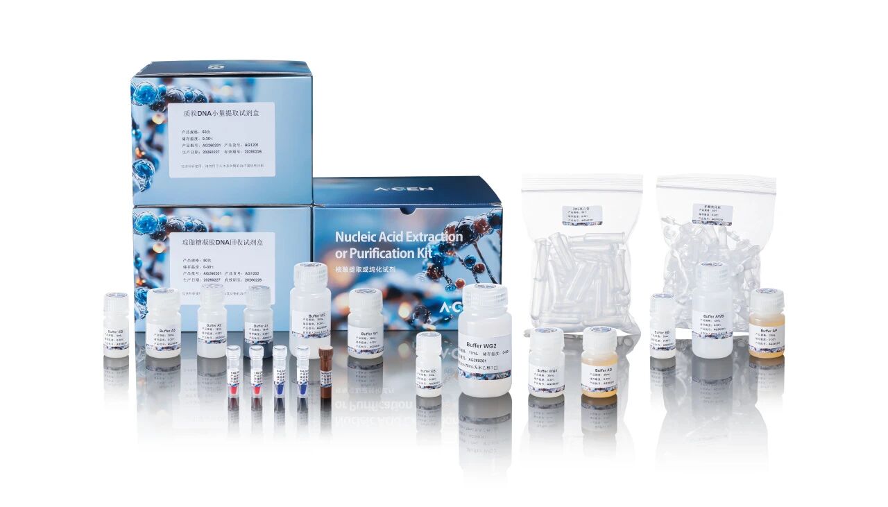 质粒DNA小量提取试剂_爱津生物