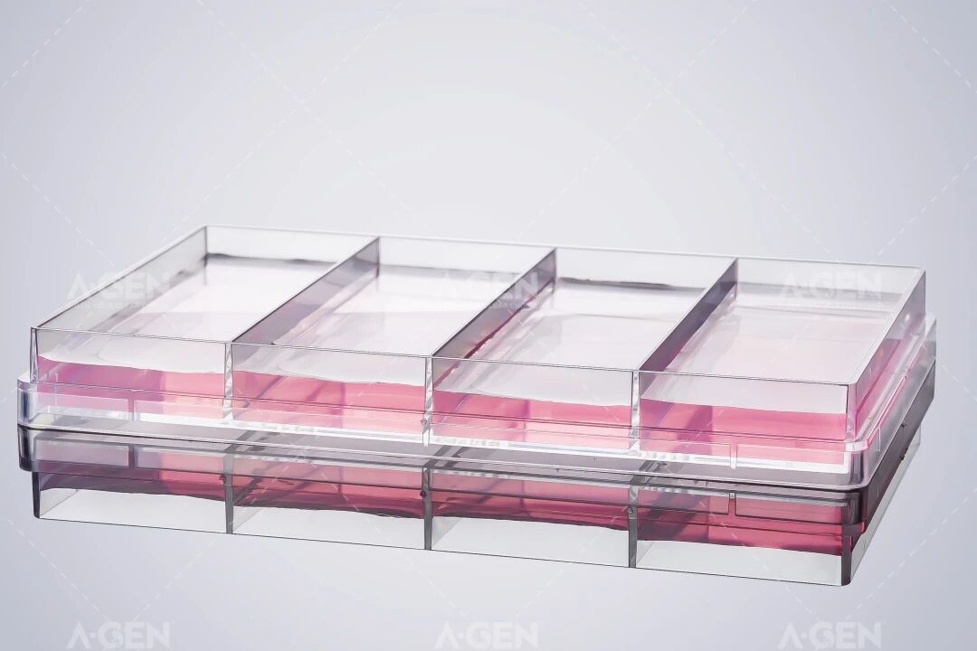 4孔矩形细胞培养板_矩形大平底_爱津生物