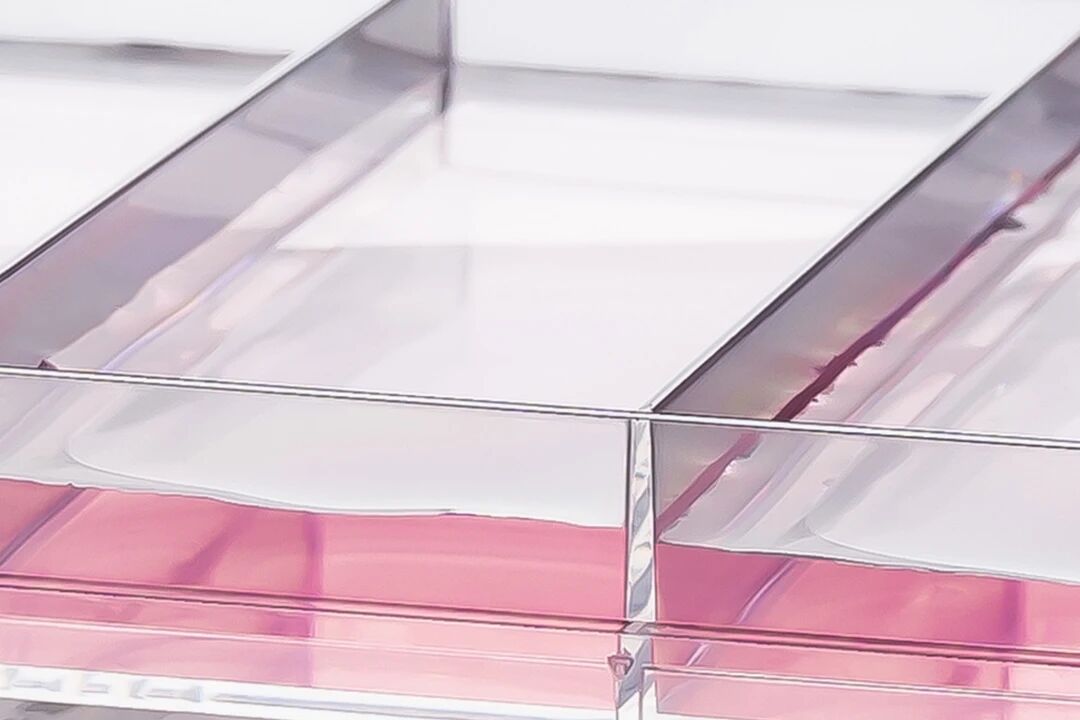 矩形细胞培养板_保证高倍镜下的光学一致性_爱津生物