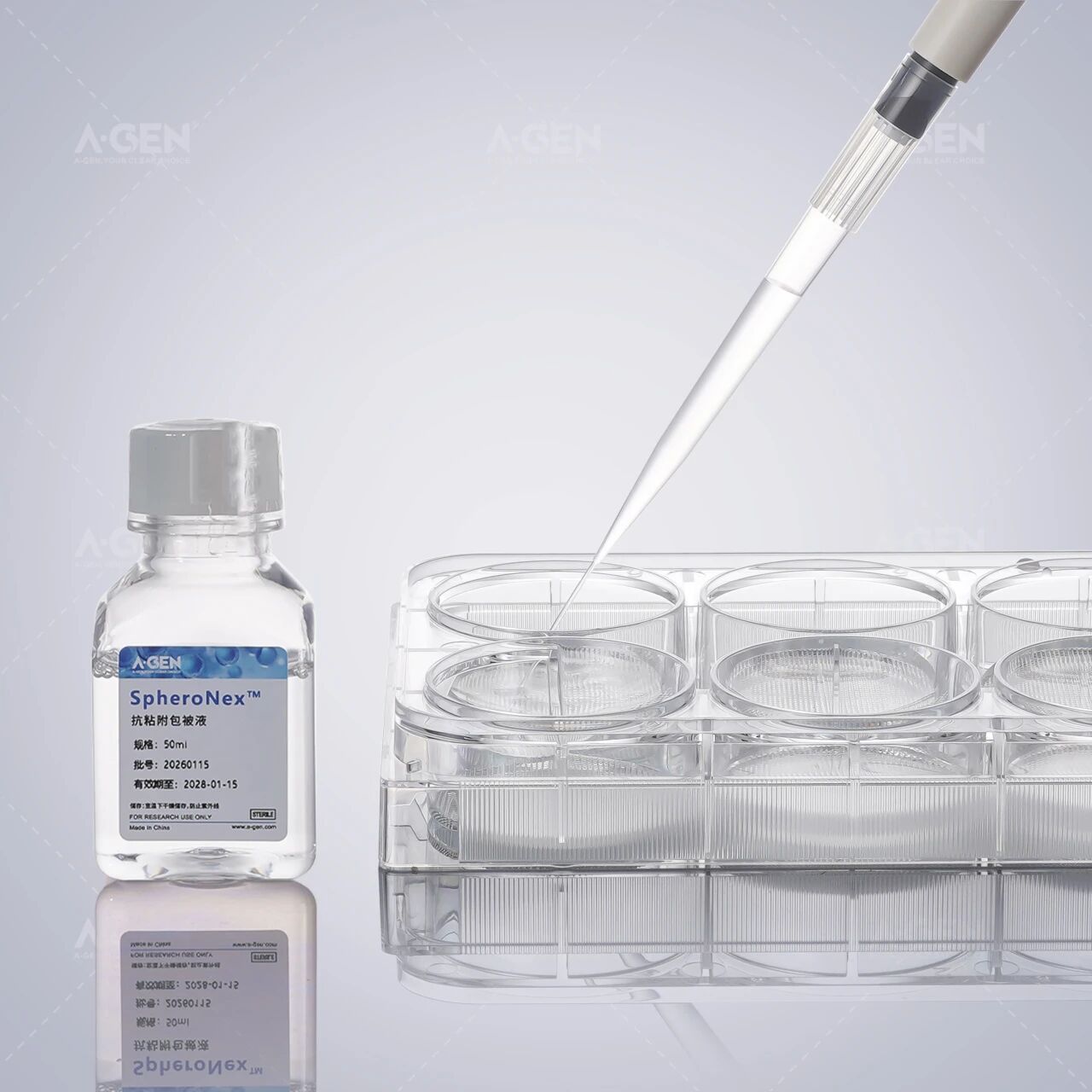 爱津生物SpheroNex™细胞球体培养6孔板套装产品