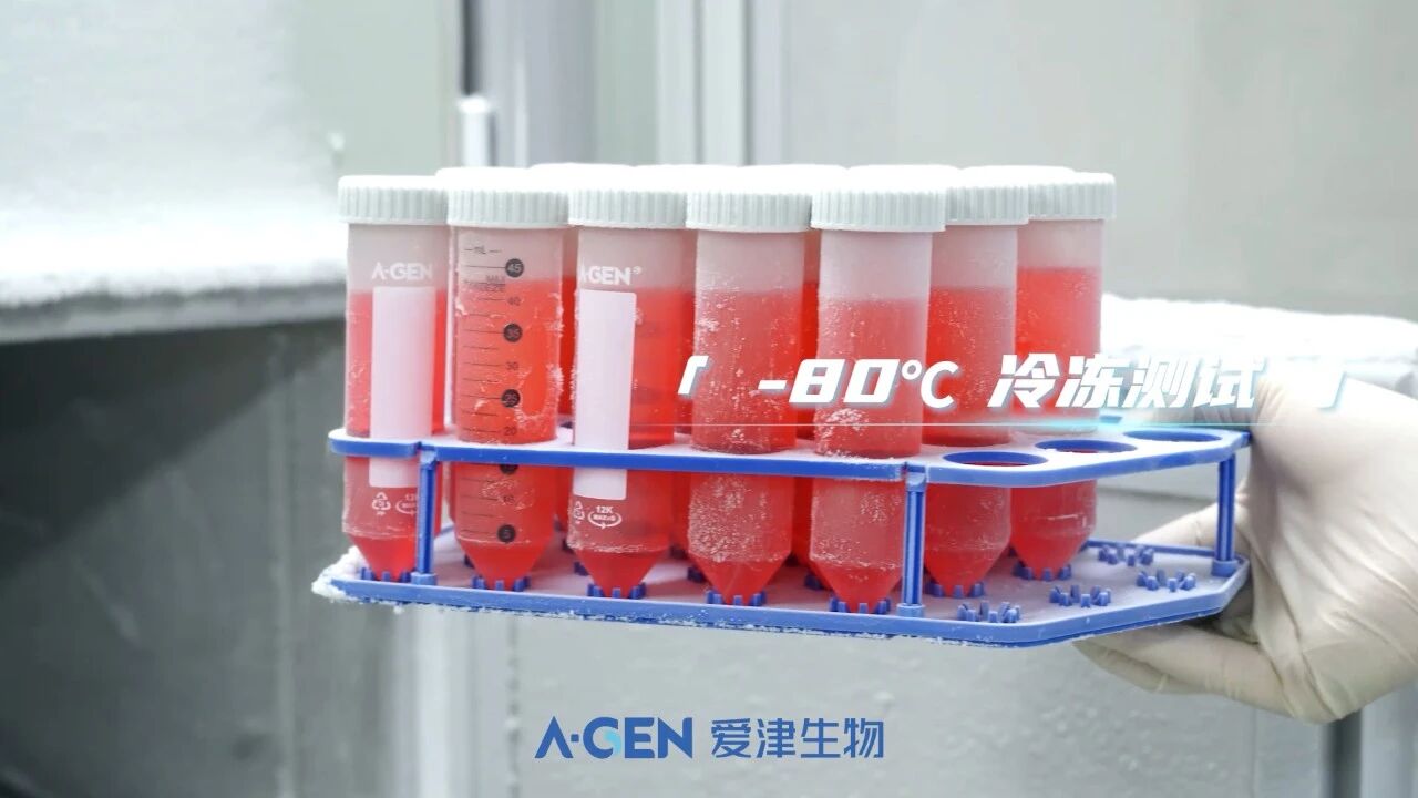 -80度冷冻测试_爱津生物