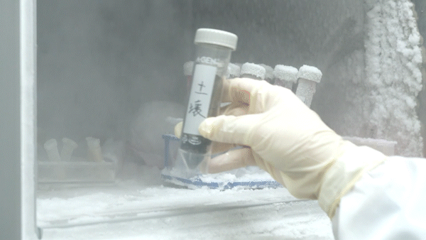 爱津生物离心管多样功能设计 兼顾效率与实用