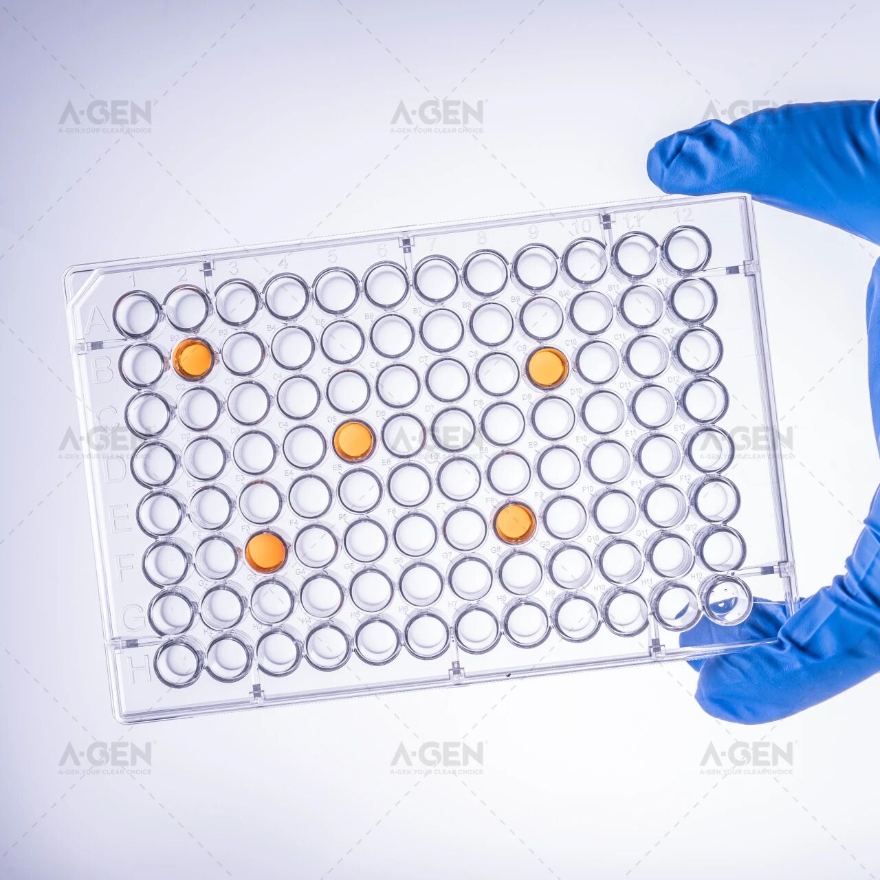 深孔板耗材_爱津生物分子生物学耗材
