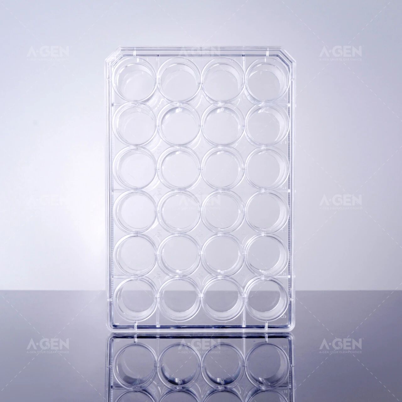 24孔细胞培养板_爱津生物