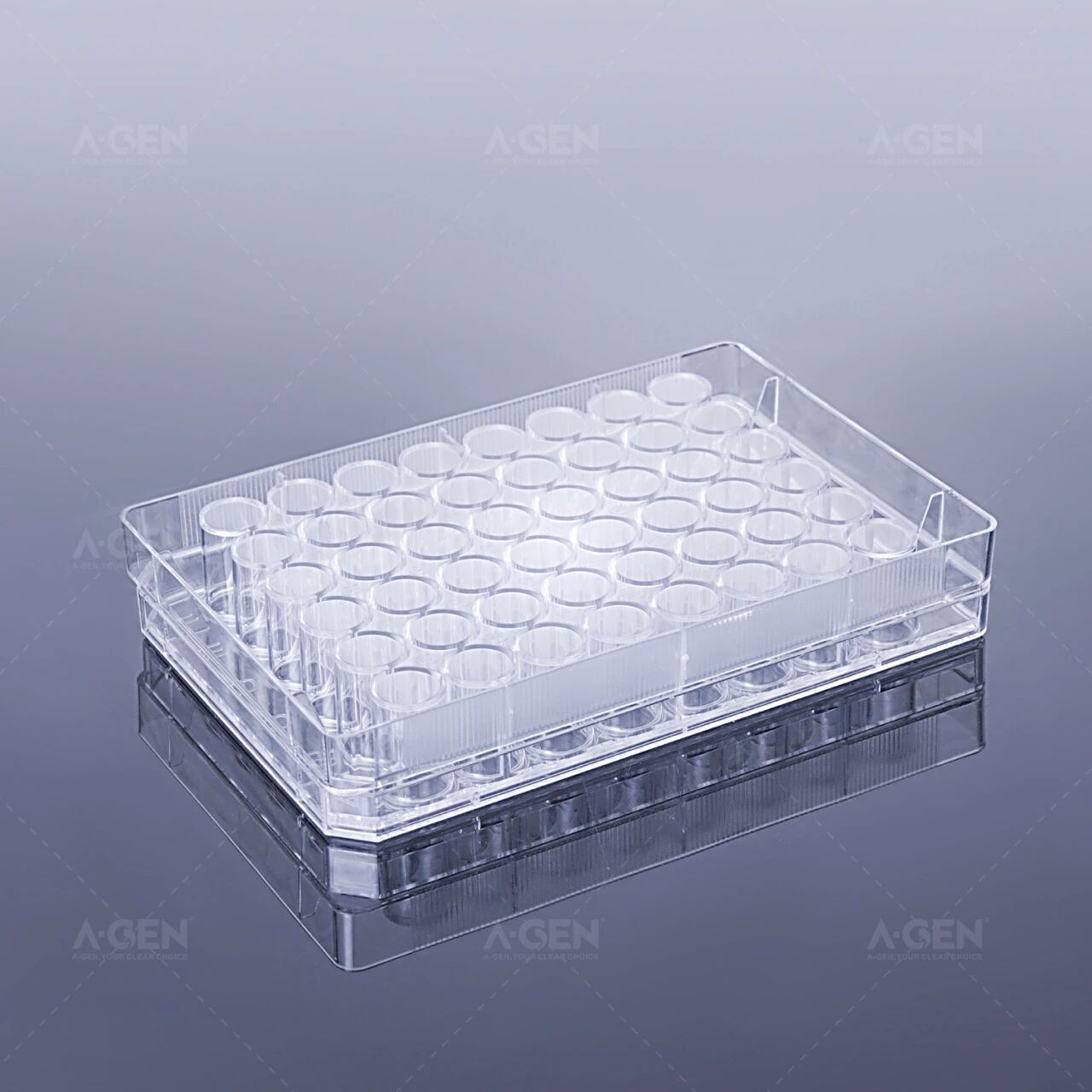 48孔细胞培养板_爱津生物
