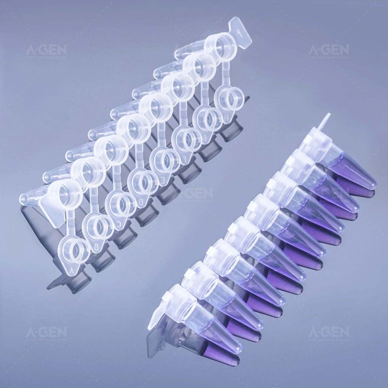 爱津生物PCR八连管_管盖分离设计:盖子与管体完全独立