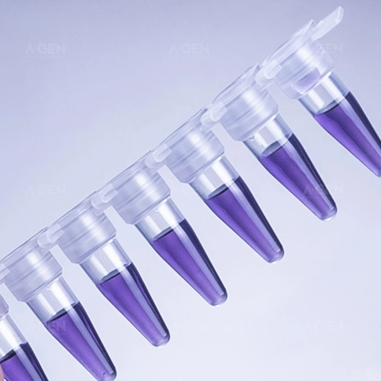 PCR八连管_使用专用开盖工具_爱津生物
