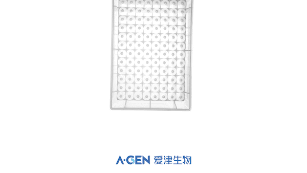 深孔板产品实拍图_分子生物耗材_爱津生物