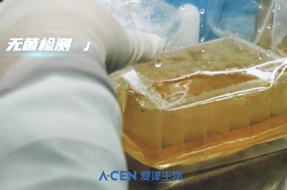 深孔板无菌检测_分子生物耗材_爱津生物