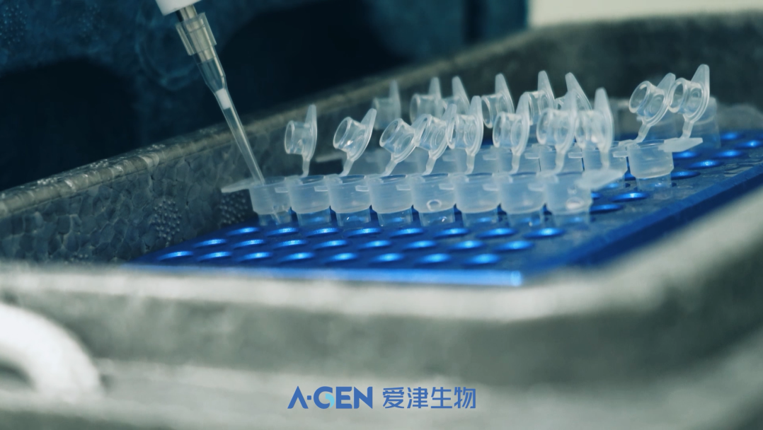 PCR管_分子生物耗材_爱津生物