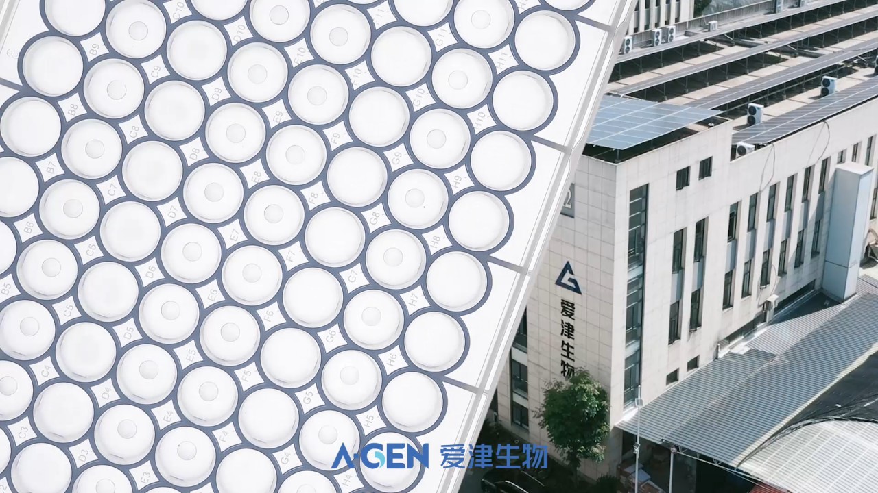 深孔板_爱津生物
