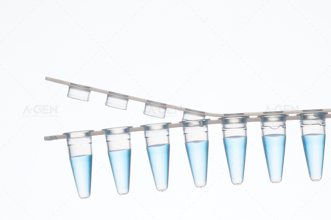 PCR单管产品图_分子生物耗材_爱津生物