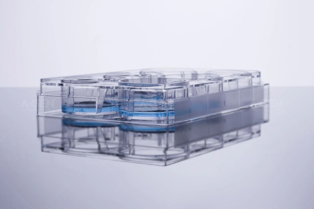 细胞培养耗材_细胞培养板_爱津生物