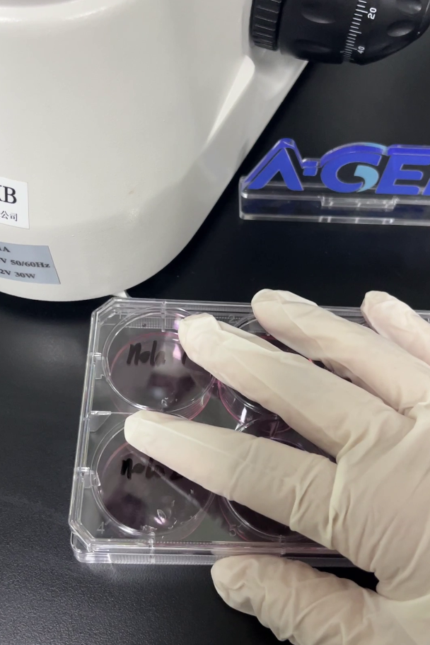 细胞培养耗材_细胞培养皿_实验室耗材厂家_爱津生物