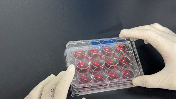实验室耗材_耗材厂家_细胞培养板_爱津生物