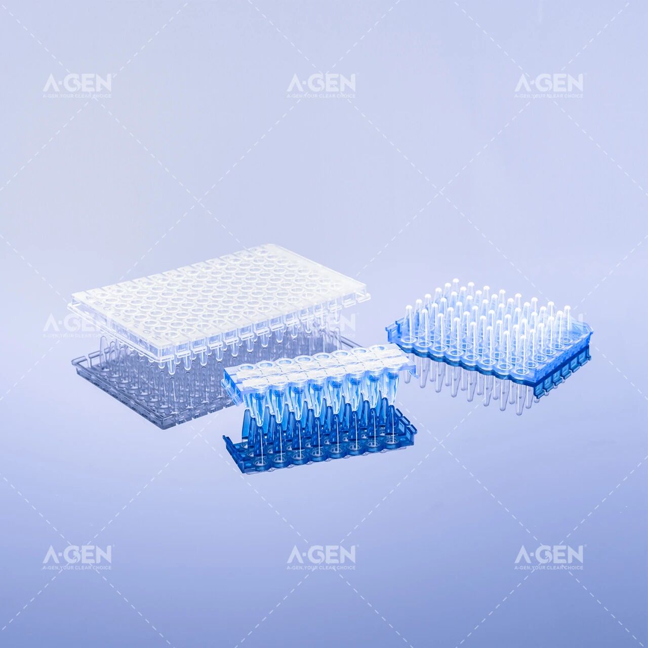 分子生物学_聚合酶链式反应(PCR)_爱津生物
