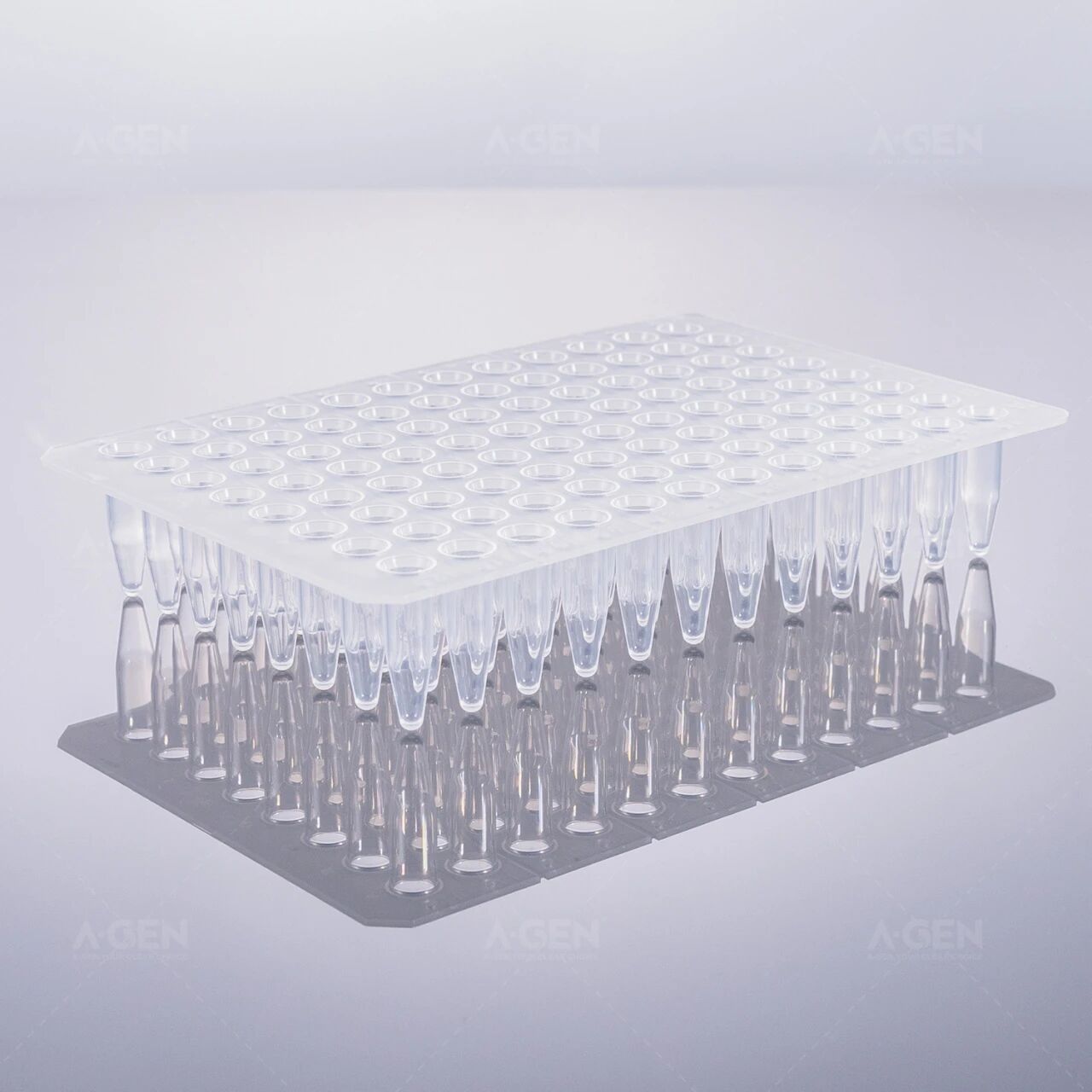 分子生物系列_96孔/384孔PCR板_爱津生物