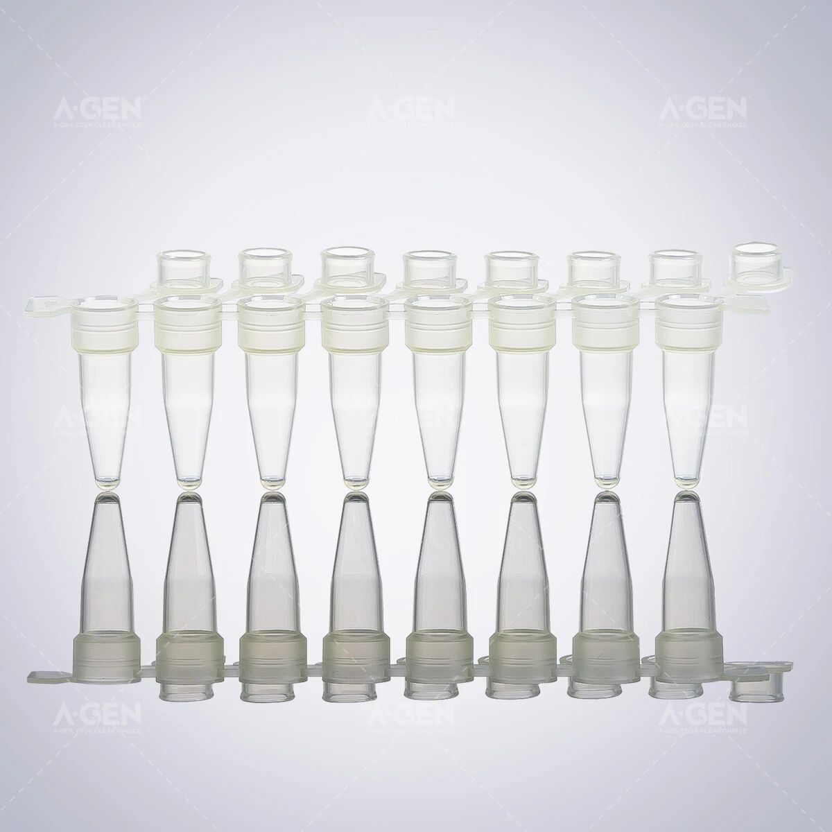 分子生物系列_PCR八连管_爱津生物