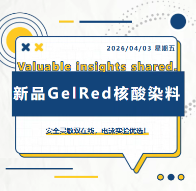 新品GelRed核酸染料_爱津生物a-gen