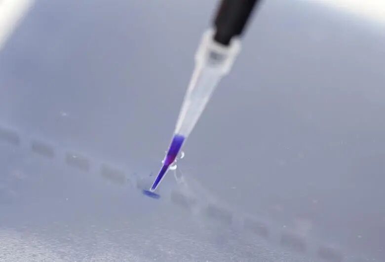 用于PCR产物鉴定_爱津生物
