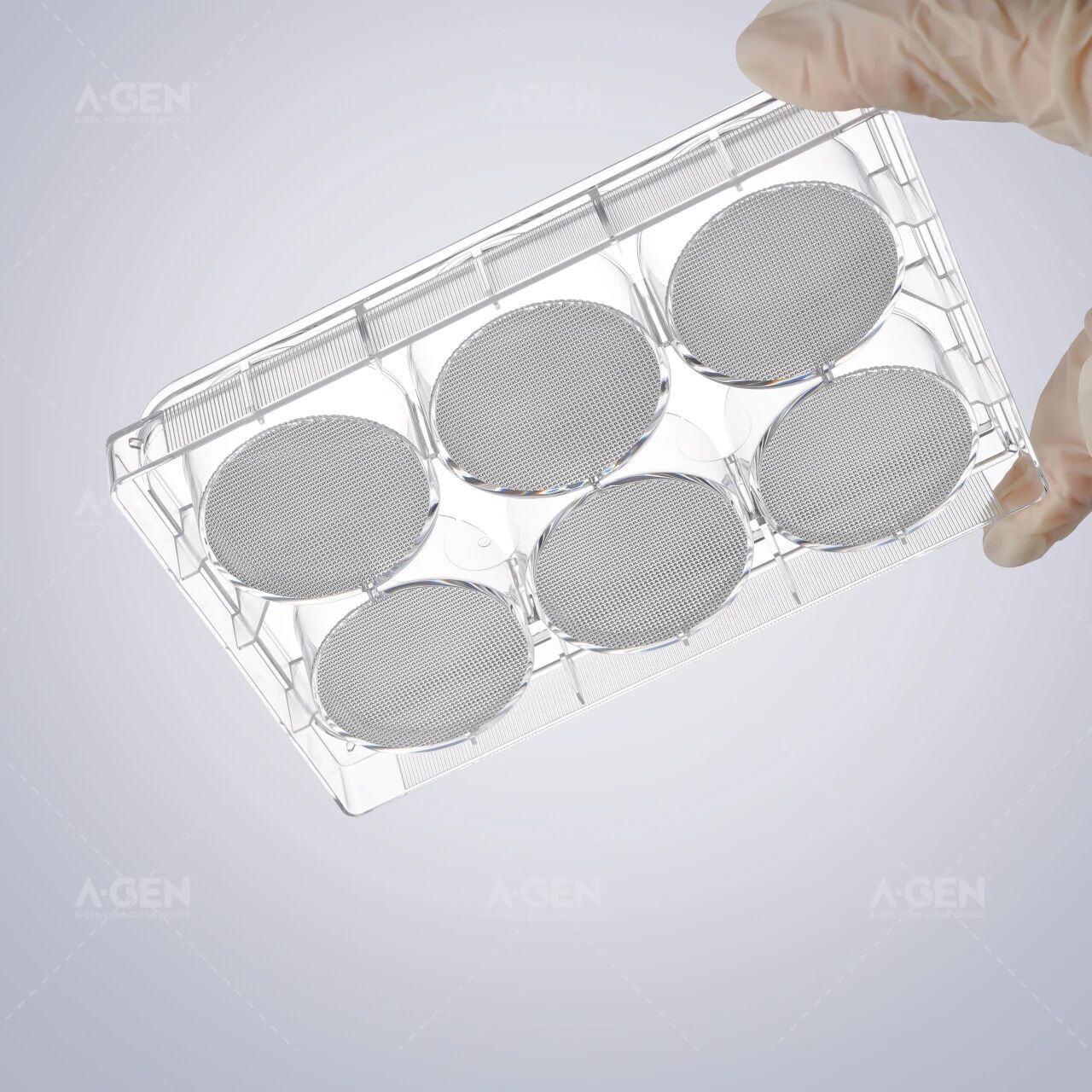 SpheroNex<ALIMT >&trade;</ALIMT>细胞球体培养6孔板套装图