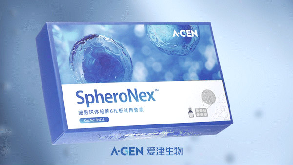 干货分享丨间充质细胞成软骨分化能力检测的一种新尝试方法图片