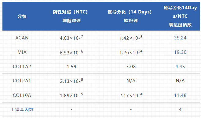 干货分享丨间充质细胞成软骨分化能力检测的一种新尝试方法图片